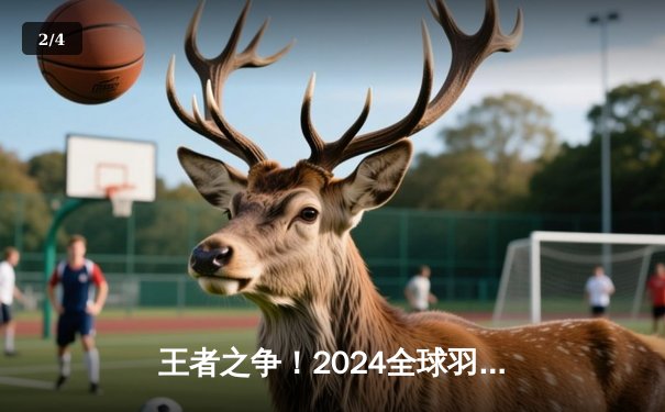 王者之争！2024全球羽毛球锦标赛落幕，李诗沣逆袭称王 - 2